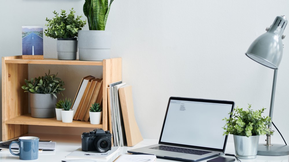 workplace-contemporary-stock-photographer-photocamera-laptop | Office Plants To Get Fresh Air In Your Workplace | Featured