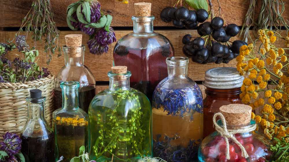 Bottles of tincture, potion, oil, healthy berries and healing herbs. Herbal medicine | How To Make Herbal Tinctures | featured