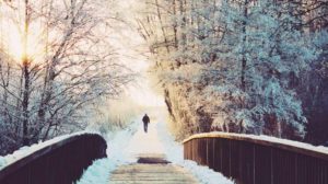 alone branches bridge bright | Winter Workout Benefits | Featured