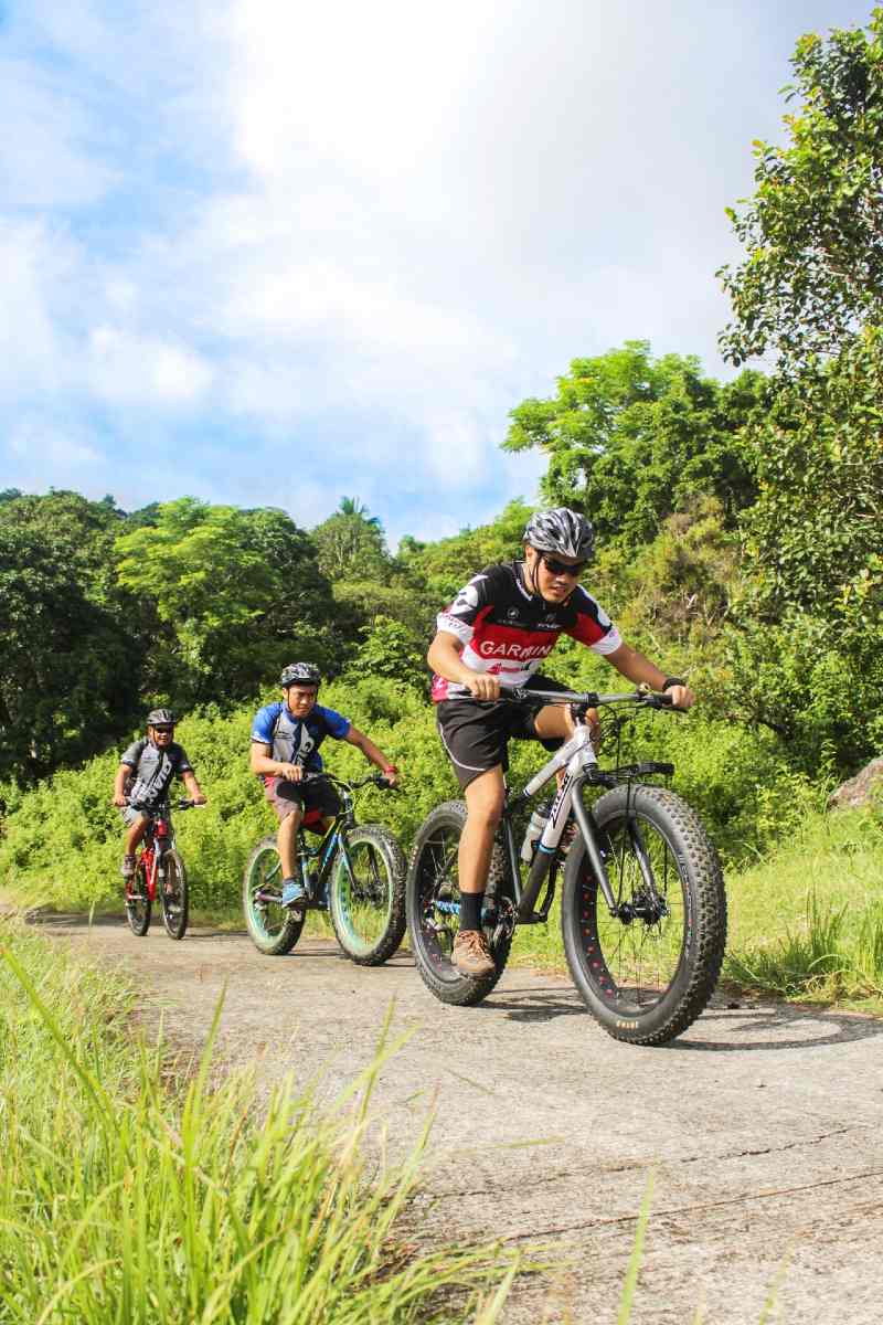 three men riding on bicycles | fat bike vs mountain bike