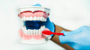 dentist showing how clean teeth doctor | Ways To Get & Maintain Healthy Gums | Featured