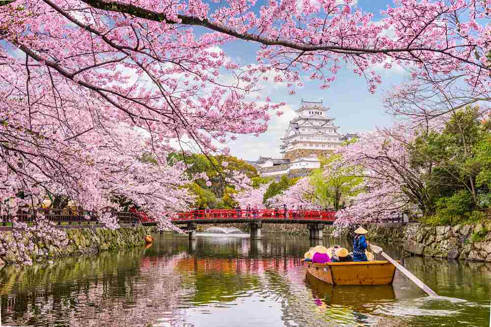 himeji japan castle spring season | best travel destinations