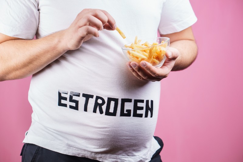 weight gain, fast food, hormonal imbalance, estrogen level. overweight man belly with french fries-Reduce Tummy Fat