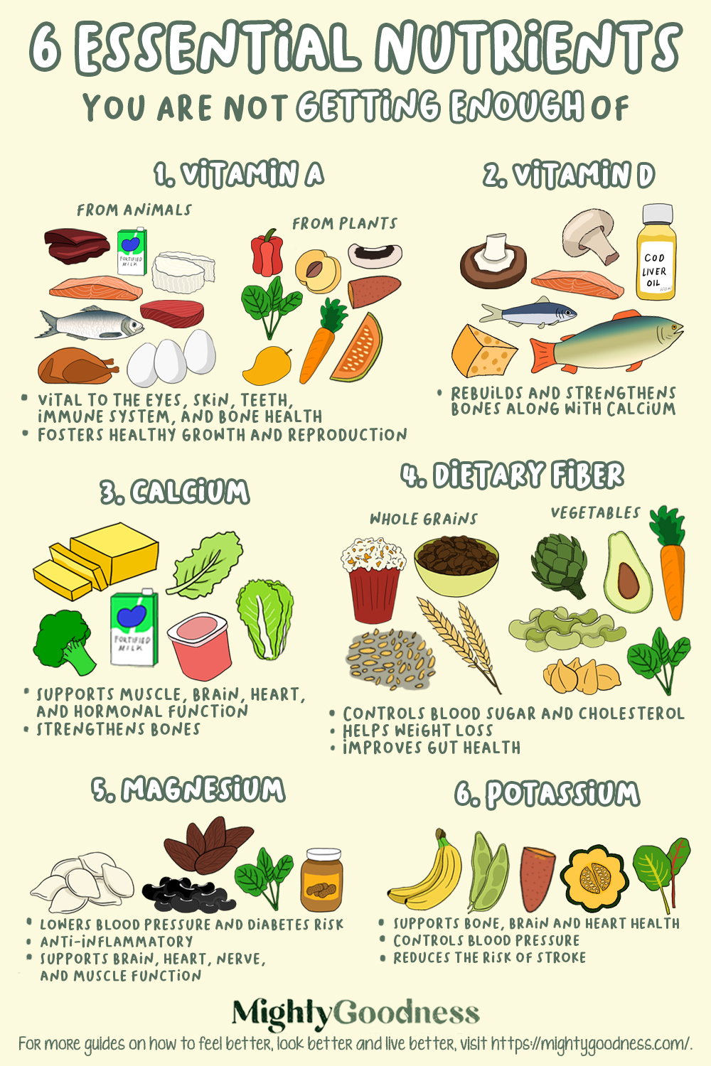 6 Essential Nutrients List