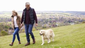 mature couple taking golden retriever walk | Great Places To Retire | Featured