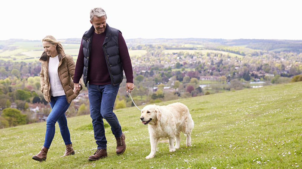 mature couple taking golden retriever walk | Great Places To Retire | Featured