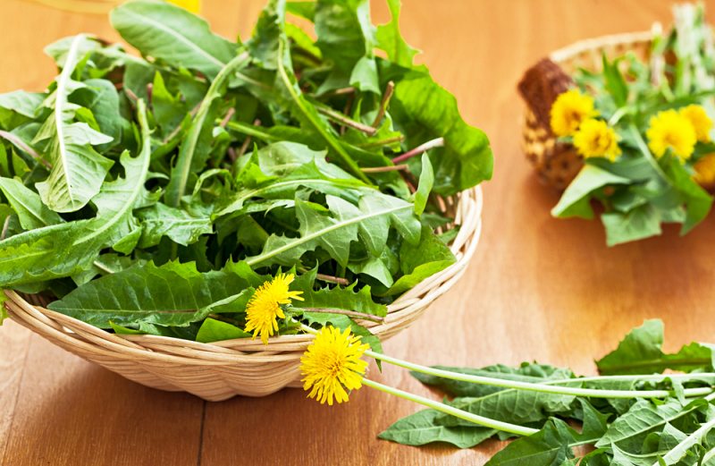 dandelion leaves ready salad | liver cleanse
