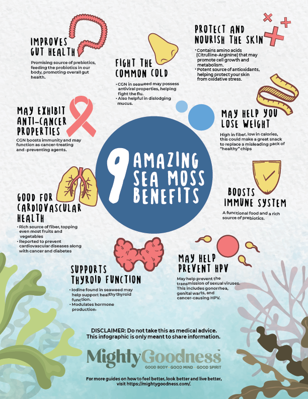9 Amazing Sea Moss Benefits