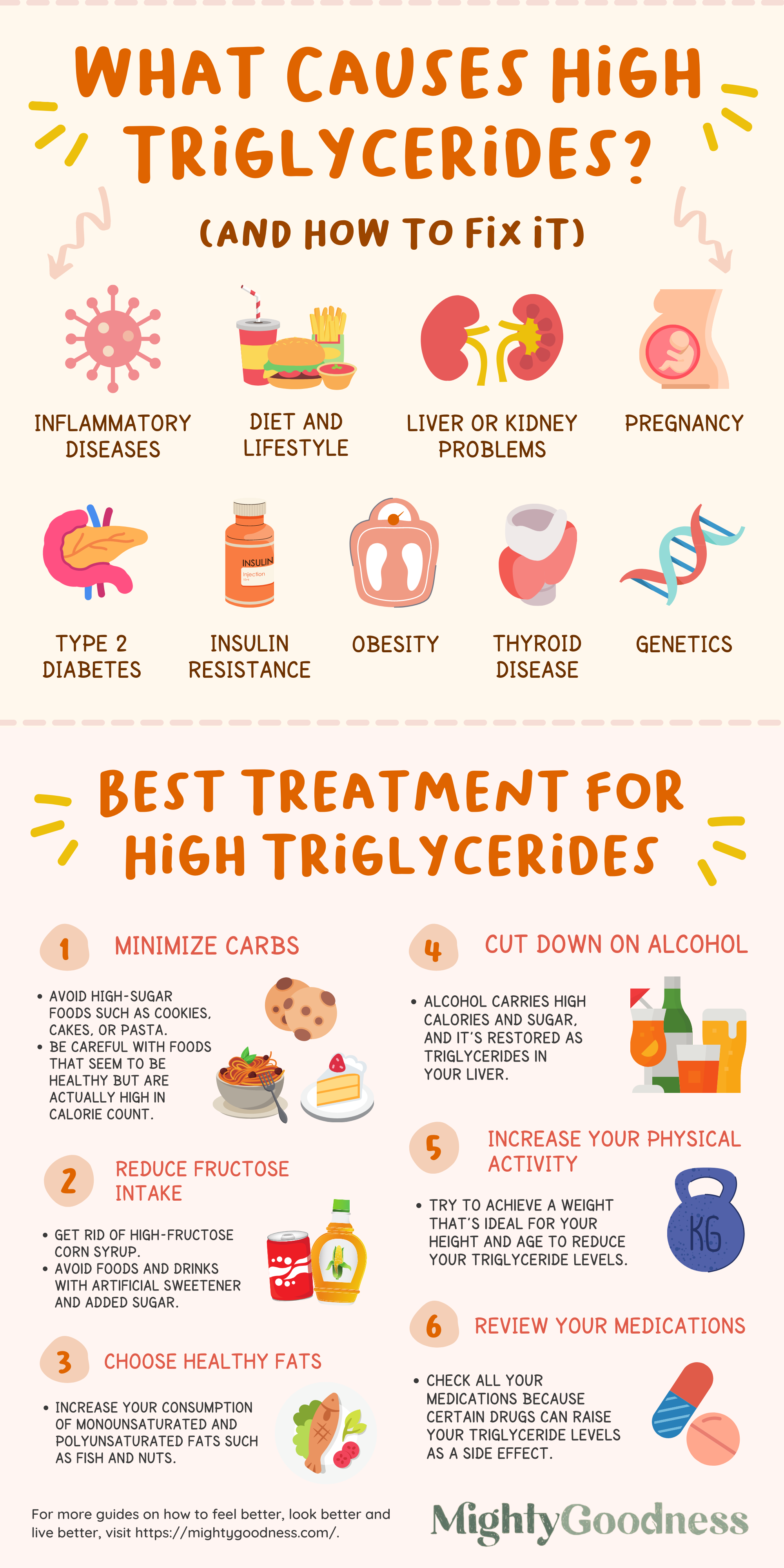 MG - What Causes High Triglycerides & How To Fix It