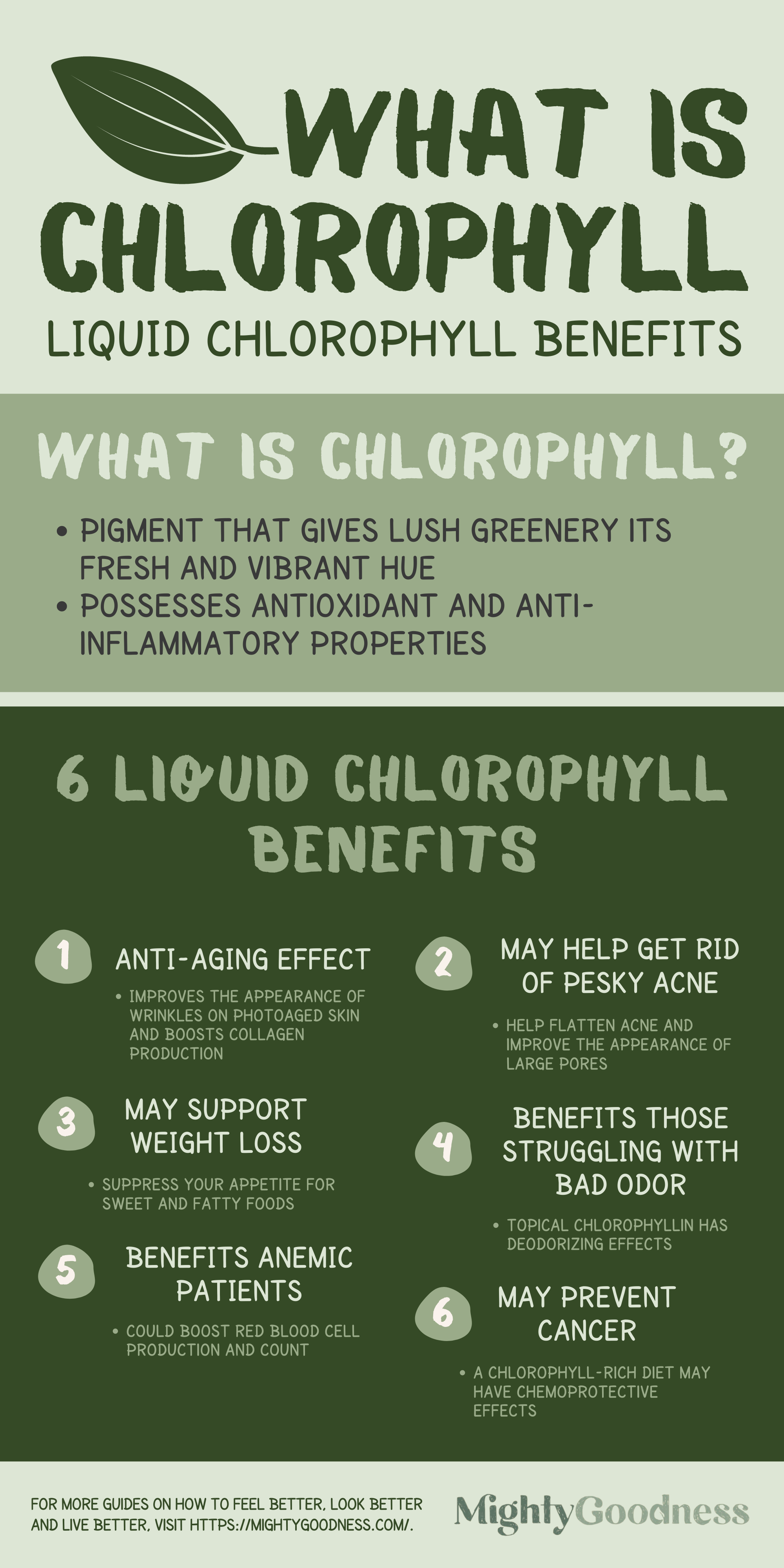 What is Chlorophyll | Liquid Chlorophyll Benefits