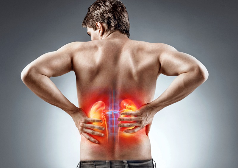 kidneys pain man holding his back | How to Improve Kidney Function in Elderly
