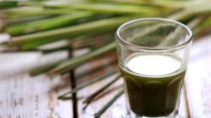 portrait-shot-glass-wheatgrass | liquid-chlorophyll-benefits | featured