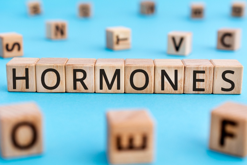 Hormones Word from Wooden Blocks with Letters | How to Fix Hormonal Imbalance