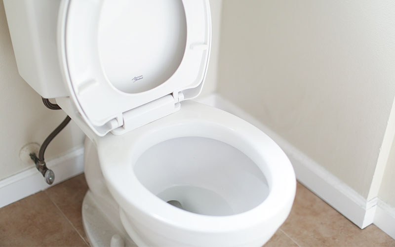 white ceramic toilet bowl with cover | How Much Protein Is Too Much | 9 Signs That You're Eating Too Much Protein