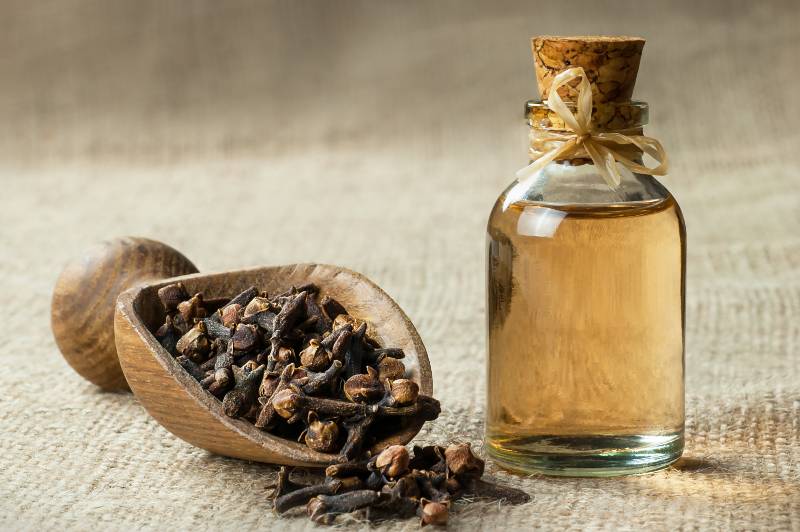 Close up glass bottle of clove oil and cloves in wooden shovel on burlap sack | Natural Blood Thinners