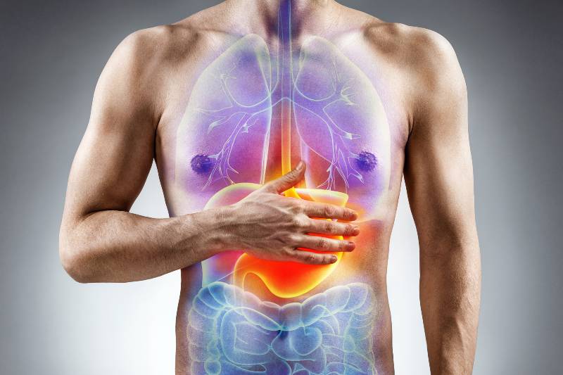 Digestion issue. Man holding his hand in area stomach | what organs are on the left side of your body
