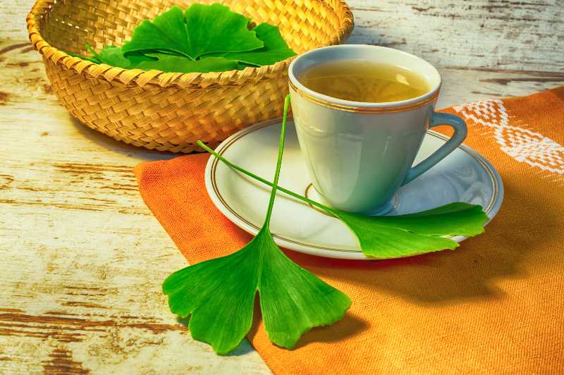 Healing ginkgo biloba tea | Natural Blood Thinners
