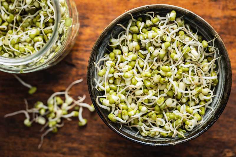 Sprouted green mung beans | Can Expired Food Kill You