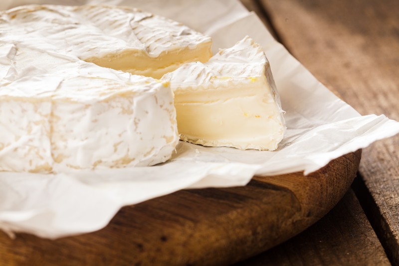 camembert cheese slice macro shot | Can Expired Food Kill You