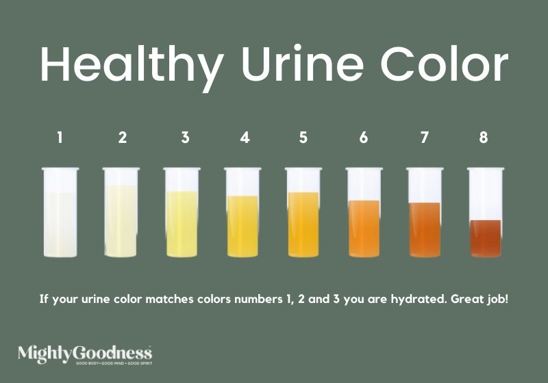 Healthy Urine Color What Color Should Urine Be