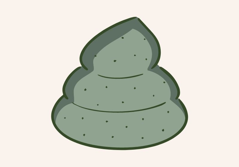 Green Poop Color | Different Types of Poop and What They Mean | Different Kinds of Poop | Poop Color