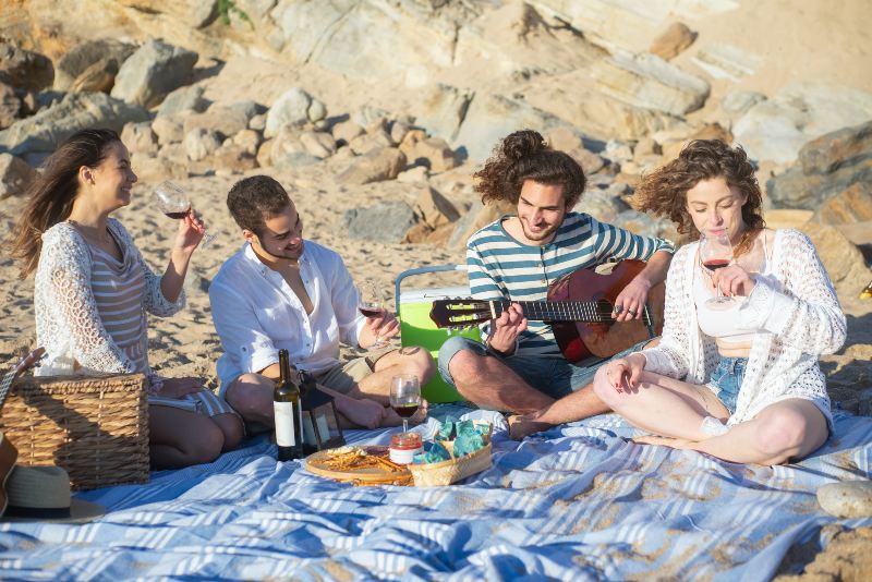 A Group of Friends Having a Picnic in the Beach | Bag Lady Syndrome