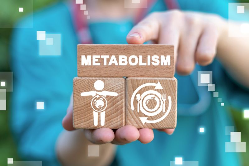 metabolism medical concept diet nutrition immunity Boost Your Energy