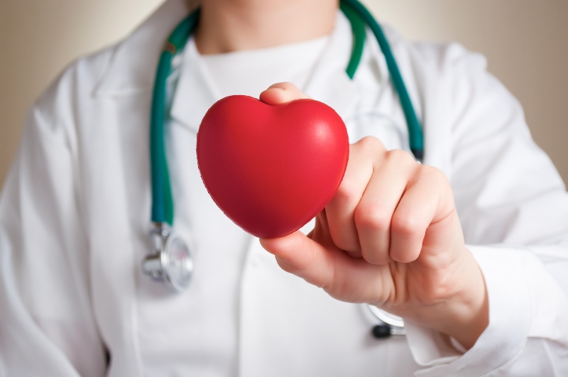 Red Heart in the Hand of a Physician | How Is Vitamin E Thought to Play a Role in Reducing the Risk of Heart Disease