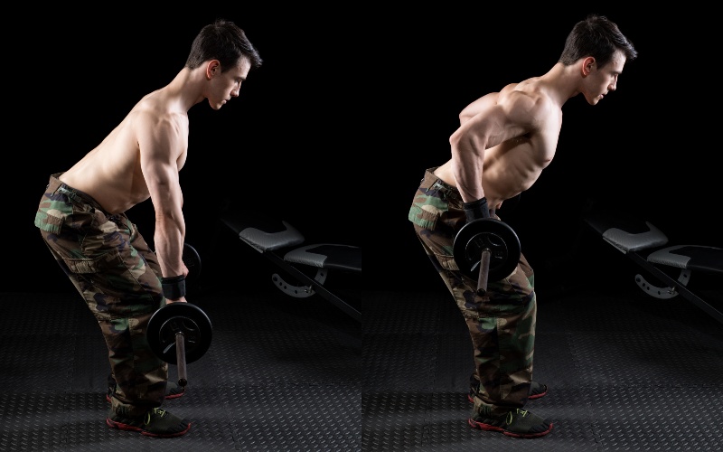Barbell Bent-over Row Exercise | Back and Shoulder Workout