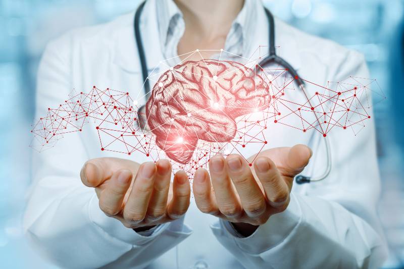 A doctor with a stethoscope is holding bright brains | Lecithin Benefits Your Brain