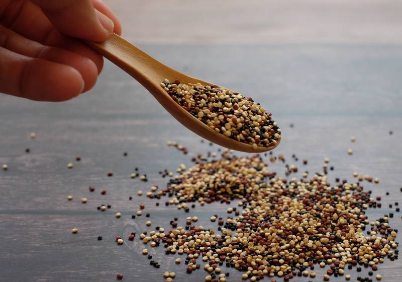 Close up hand holding the wooden spoon with quinoa seeds on wooden table | Quinoa is high in Lysine