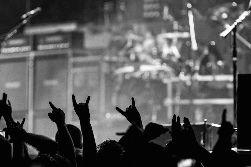 Crowd going crazy and putting up the metal horns at a rock concert | Nutrition Facts Grab Bag 22