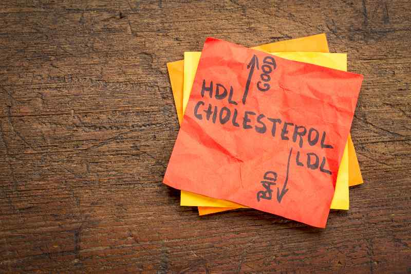HDL (good) and LDL(bad) cholesterol word | Lecithin can help you reduce your HDL