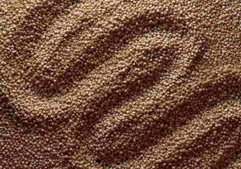 Wave on quinoa | Quinoa is High in Folate