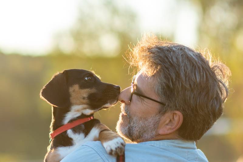 moments of love between dog and his owner | The Health Benefits of Pets