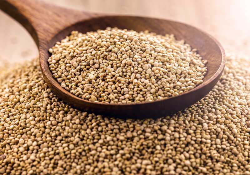 quinoa seeds in wooden spoon | Quinoa is a good source of iron